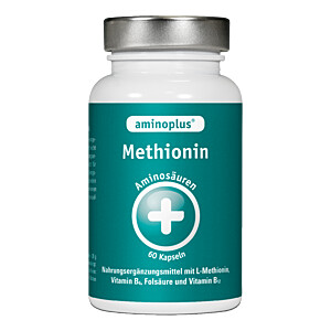 AMINOPLUS Methionin plus Vitamin B Komplex Kapseln