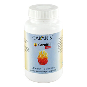 L-CARNITIN 500 mg Kapseln