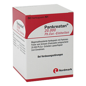 PANKREATAN 20.000 Ph.Eur.-Einheiten msr.Hartkaps.