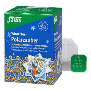 POLARZAUBER Früchte-Gewürztee Bio Salus Filterbeutel