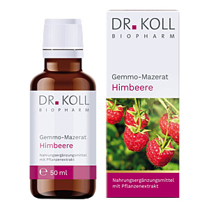 GEMMO Mazerat Himbeere Dr.Koll Rubus idaeus Tropf.