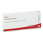 THROMBOCYTEN GL D 12 Ampullen